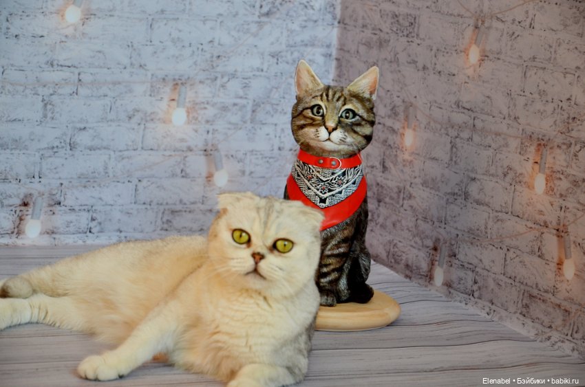 Портретная кукла по фото — Авторские портретные куклы по фото: галерея работ (фото 4)