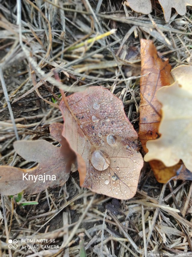 Потому что нельзя быть красивой такой - моя Стелла от Руби Ред и ее первая прогулка