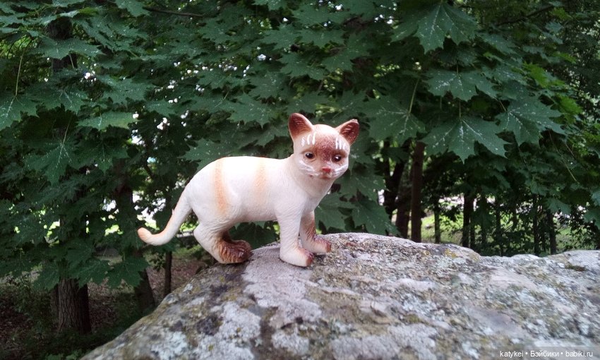 День домашних животных — Интересные игрушки и фигурки (разное): редкие (фото 10)