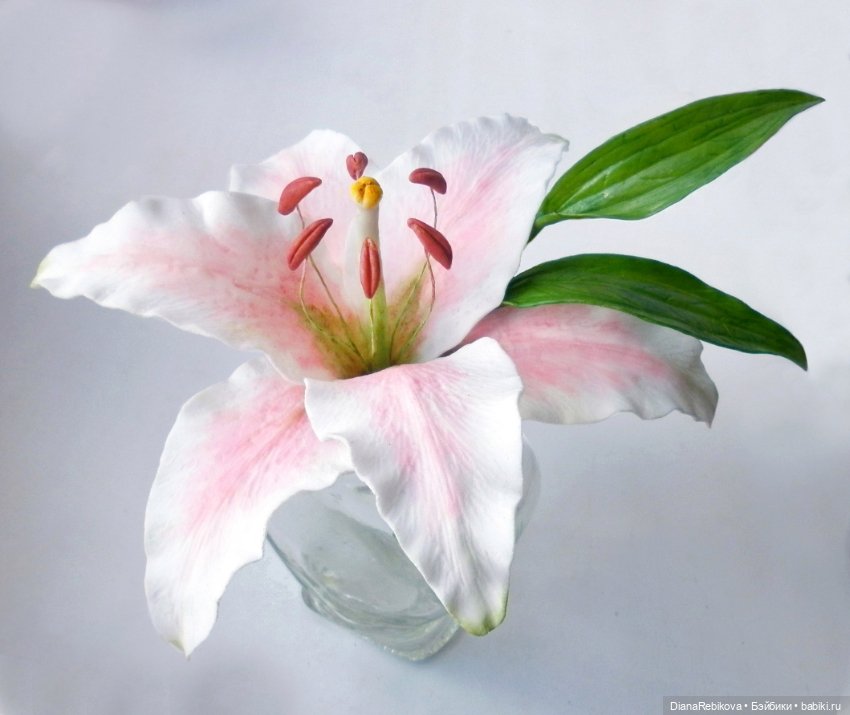 Букеты и растения в кашпо (фото 5)