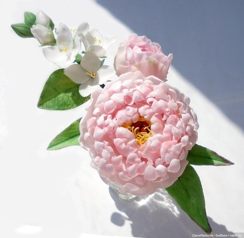 Букеты и растения в кашпо (фото 4)