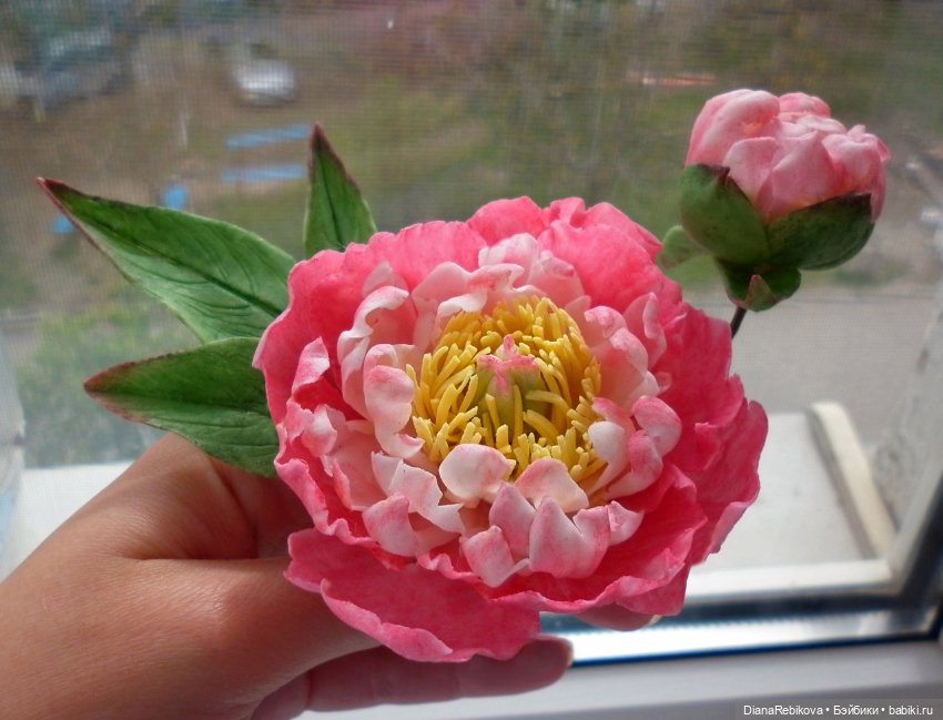 Букеты и растения в кашпо (фото 8)