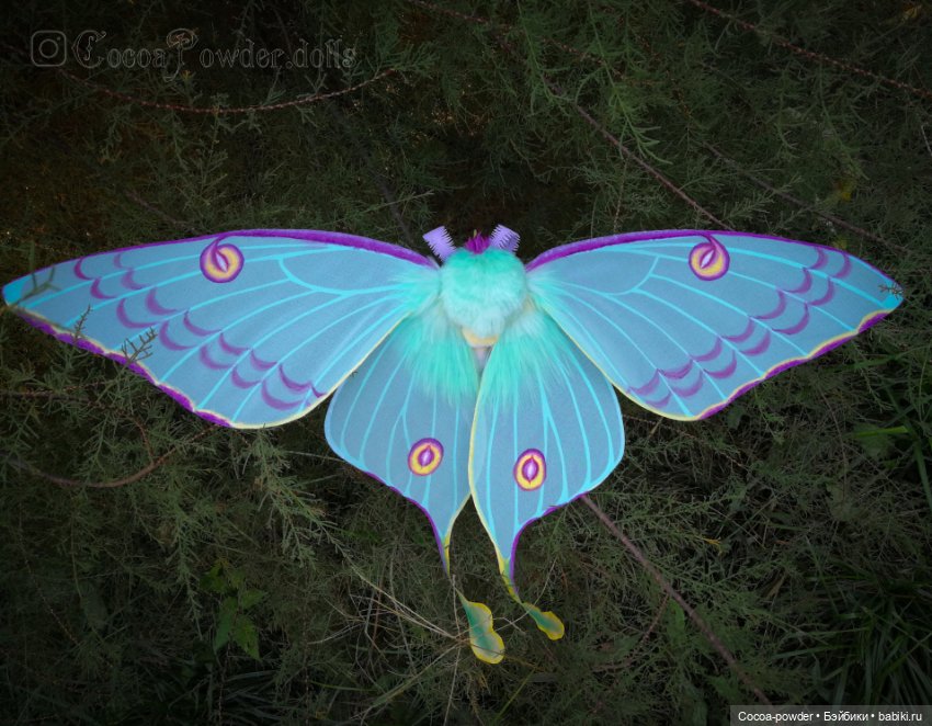 ООАК Розина — ООАК Monster High и Ever After High: репейнт (фото 6)