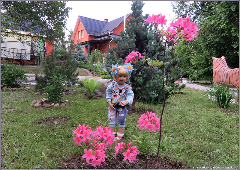 Куколки-цветочки у меня в садочке! Юбилей 9 лет на Бейбиках