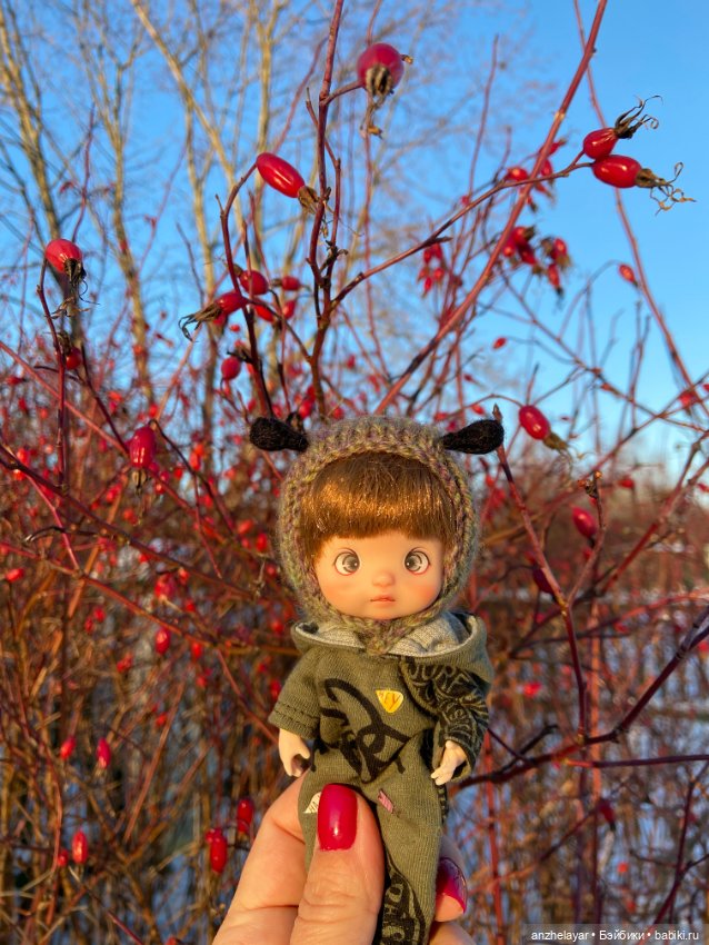 Первая зима — Азиатские виниловые куклы (разное): Китай (фото 7)
