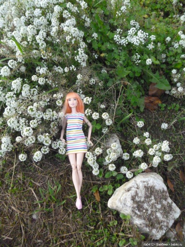 Мои новенькие. Гибриды барби. Снова Курортный городок (фото 5)
