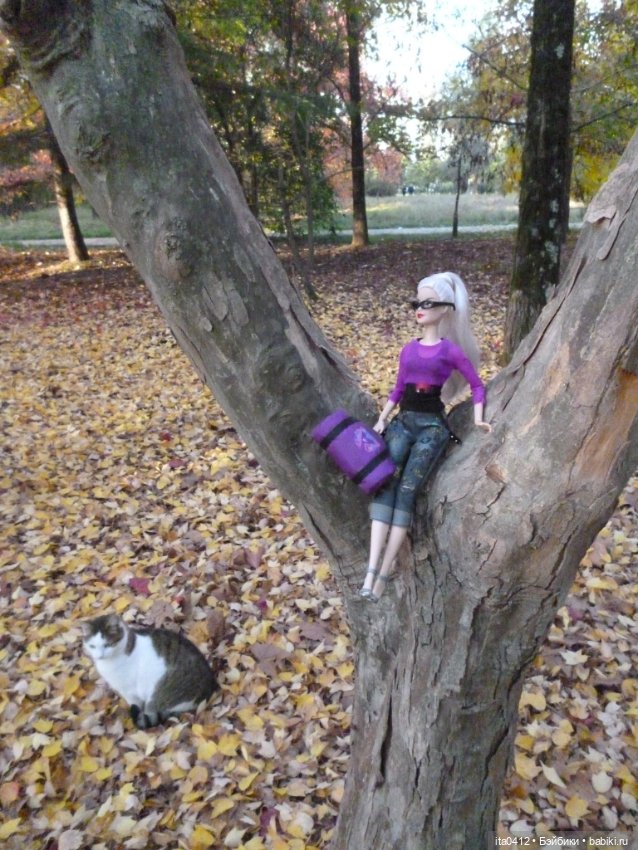 Мои новенькие. Гибриды барби. Снова Курортный городок