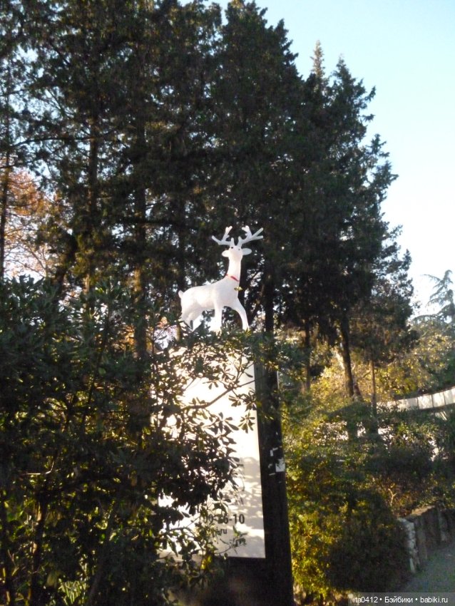 Мои новенькие. Гибриды барби. Снова Курортный городок