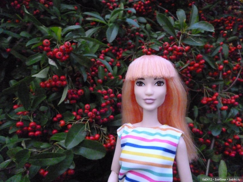 Мои новенькие. Гибриды барби. Снова Курортный городок