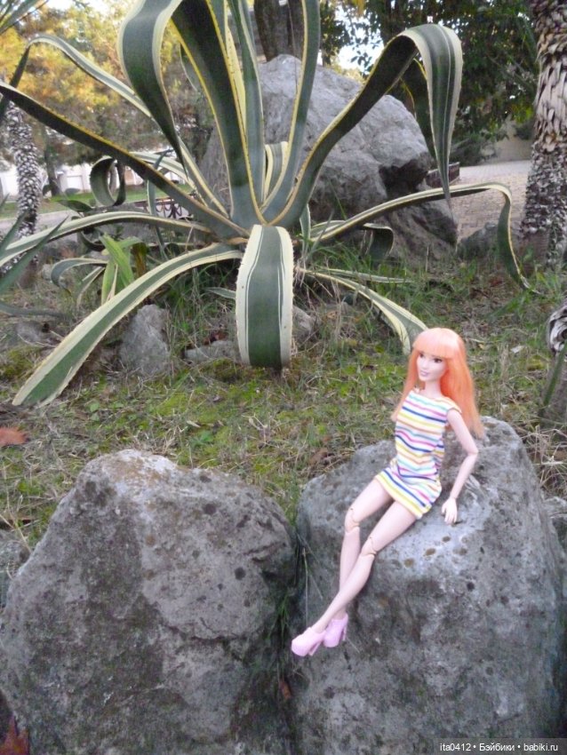 Мои новенькие. Гибриды барби. Снова Курортный городок