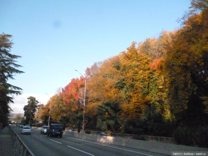 Мои новенькие. Гибриды барби. Снова Курортный городок (фото 2)