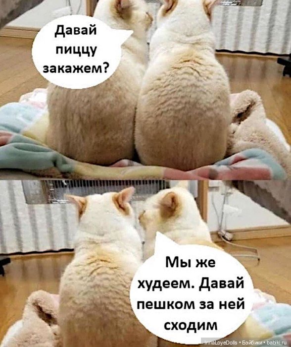 Как похудеть — Болталка и разговоры обо всем: жизнь (фото 2)