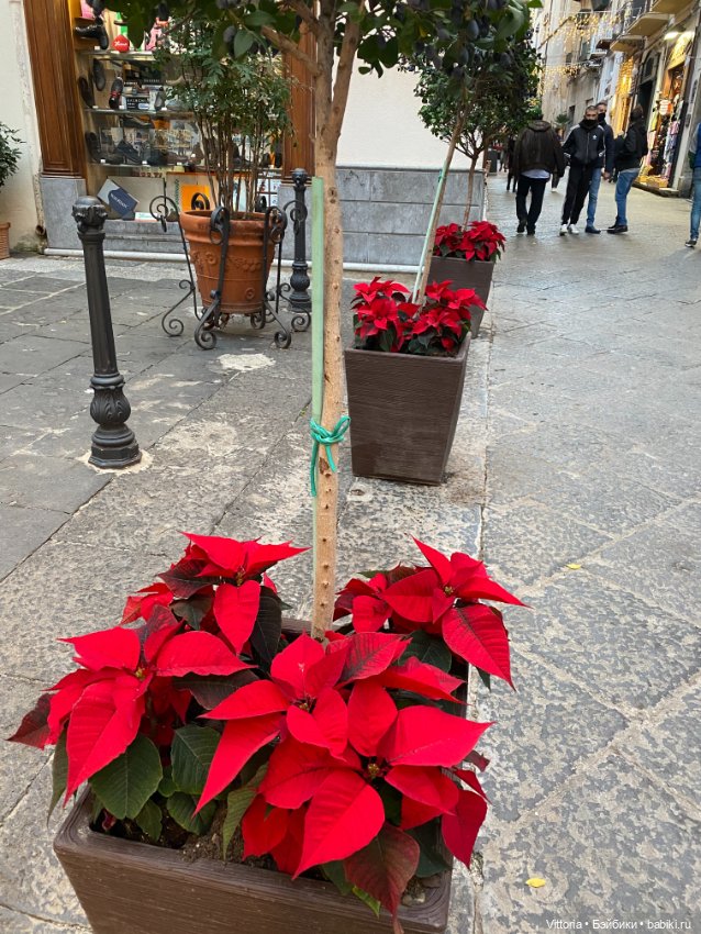 Это Италия! Cefalu Sicilia