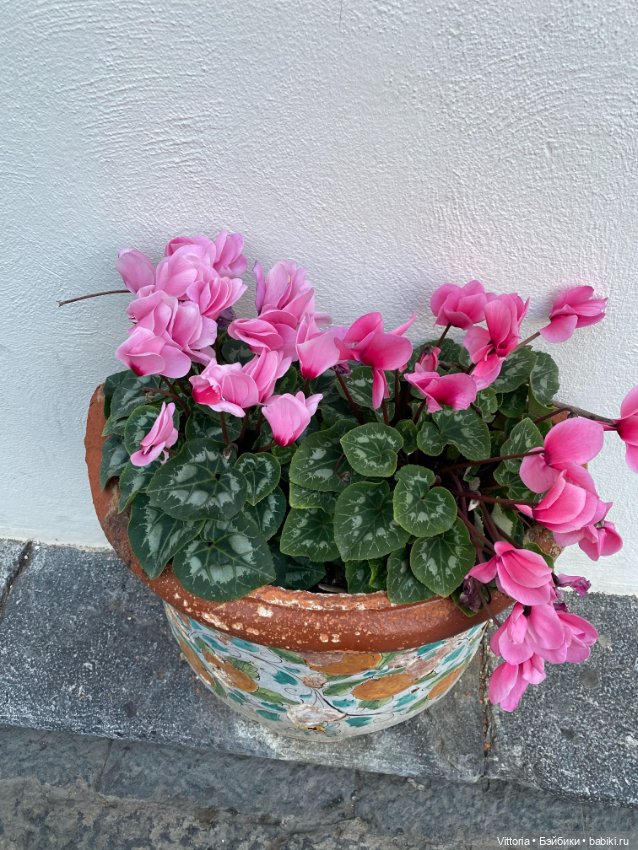 Это Италия! Cefalu Sicilia (фото 8)