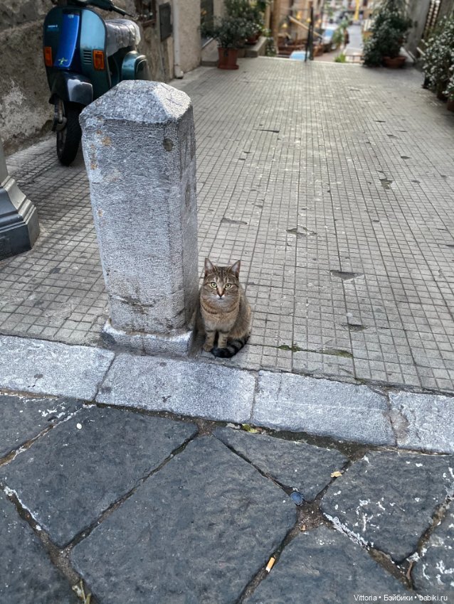 Это Италия! Cefalu Sicilia