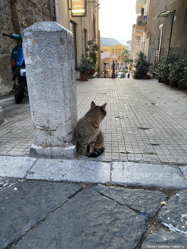 Это Италия! Cefalu Sicilia