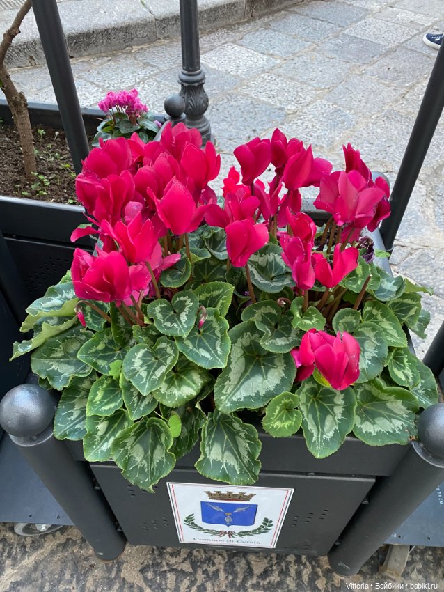 Это Италия! Cefalu Sicilia (фото 7)