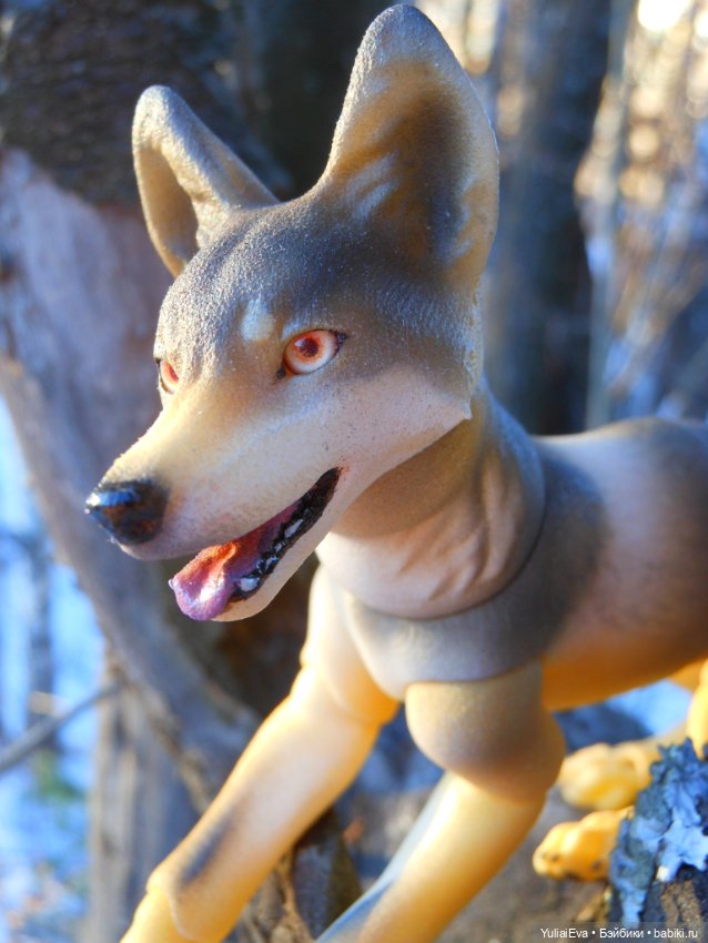 Самый красивый волк — Домашние фото авторских кукол: личные коллекции (фото 2)