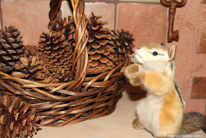 Бурундуки спешат на Ёлку — Другие хобби и увлечения: сад (фото 6)