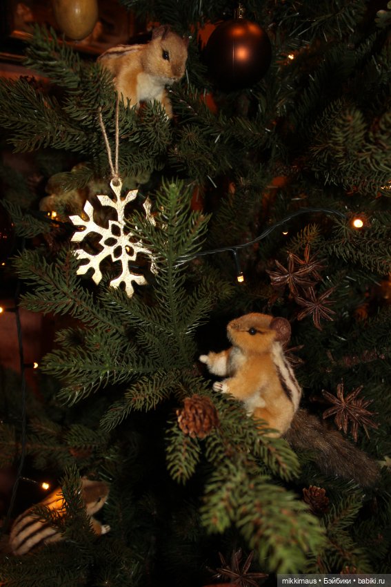 Бурундуки спешат на Ёлку — Другие хобби и увлечения: сад (фото 10)