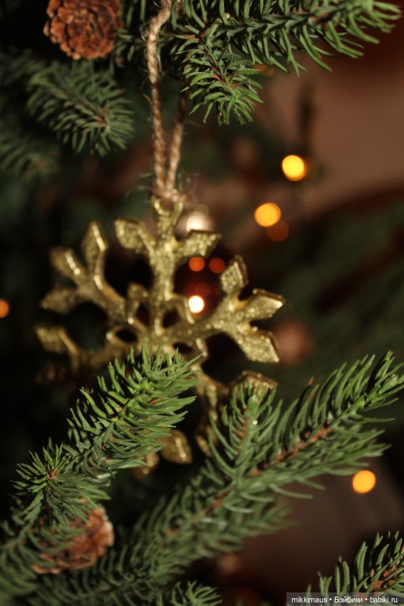 Бурундуки спешат на Ёлку — Другие хобби и увлечения: сад (фото 7)