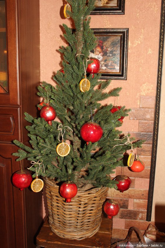 Бурундуки спешат на Ёлку — Другие хобби и увлечения: сад