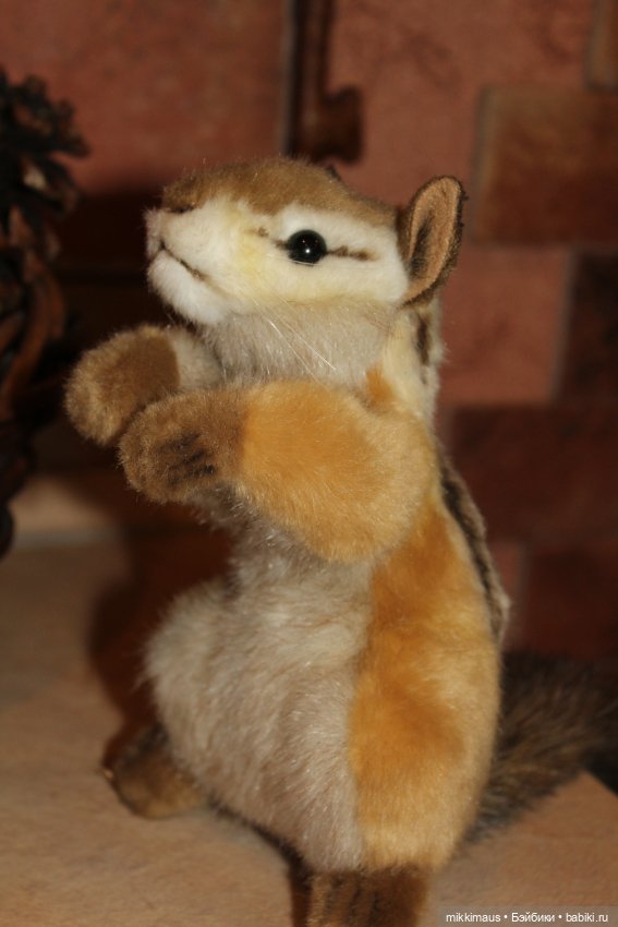 Бурундуки спешат на Ёлку — Другие хобби и увлечения: сад (фото 5)