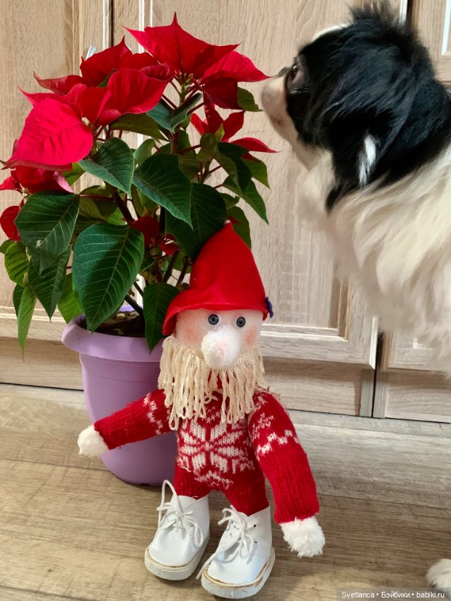 Зимний гном — Наши хобби и творчество: вышивка (фото 3)