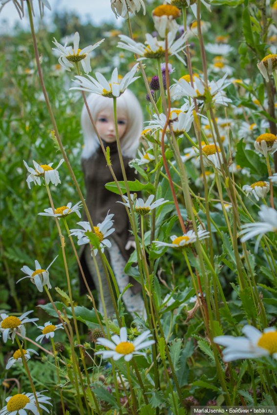 Снова Финляндия — Куклы Fairyland (ФэйриЛэнд): BJD (БЖД) (фото 9)