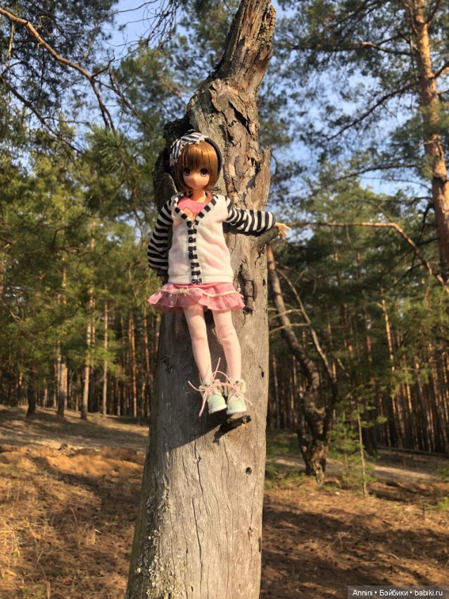 Прекрасная девочка azone — Куклы Azone (Азон) и тела Pure Neemo: фото (фото 4)