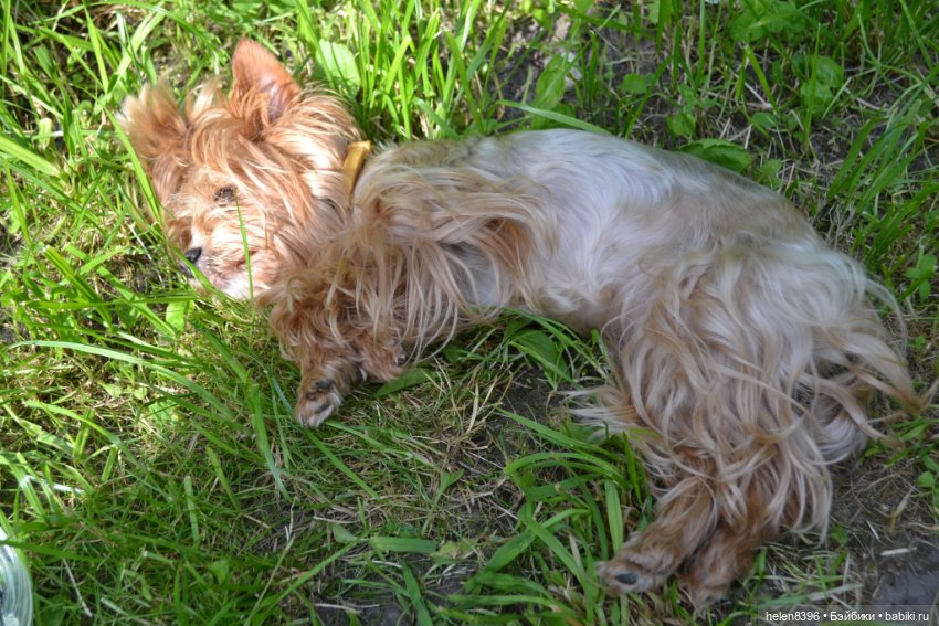 И пришла любовь — Болталка и разговоры обо всем: жизнь