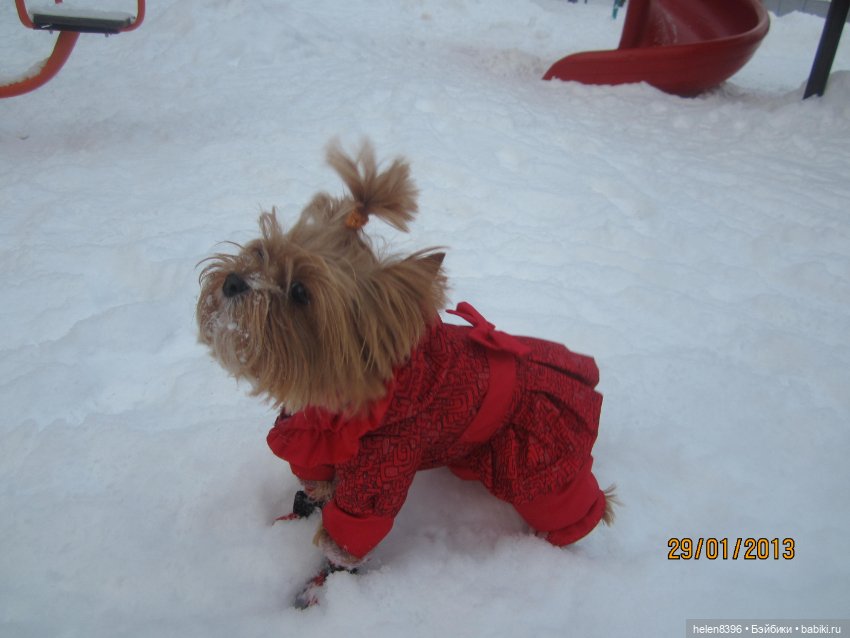 И пришла любовь — Болталка и разговоры обо всем: жизнь