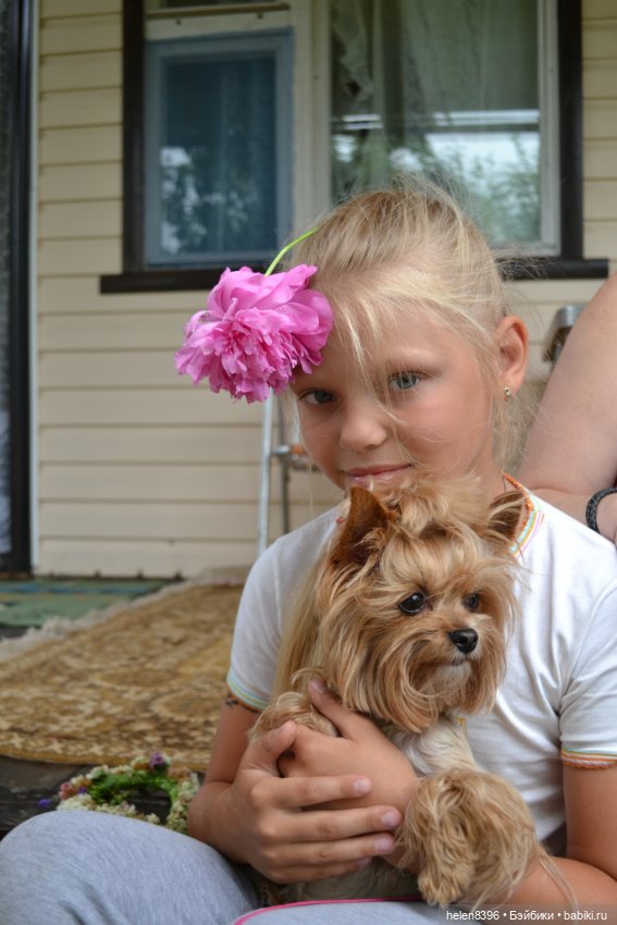 И пришла любовь — Болталка и разговоры обо всем: жизнь