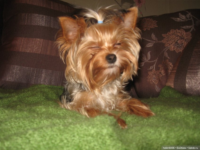 И пришла любовь — Болталка и разговоры обо всем: жизнь