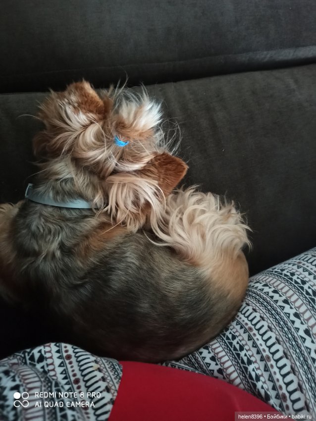 И пришла любовь — Болталка и разговоры обо всем: жизнь (фото 6)