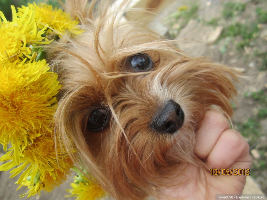 И пришла любовь — Болталка и разговоры обо всем: жизнь