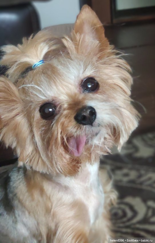 И пришла любовь — Болталка и разговоры обо всем: жизнь (фото 9)