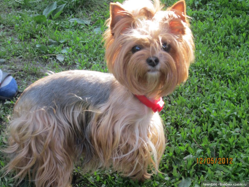 И пришла любовь — Болталка и разговоры обо всем: жизнь