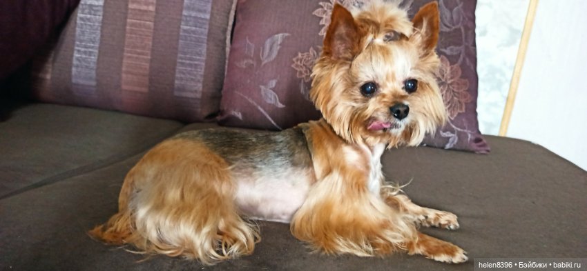 И пришла любовь — Болталка и разговоры обо всем: жизнь (фото 2)