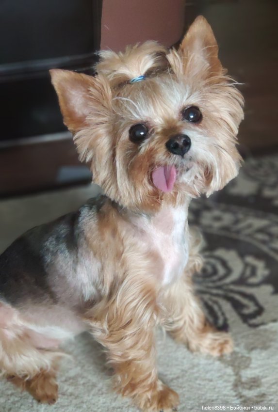 И пришла любовь — Болталка и разговоры обо всем: жизнь