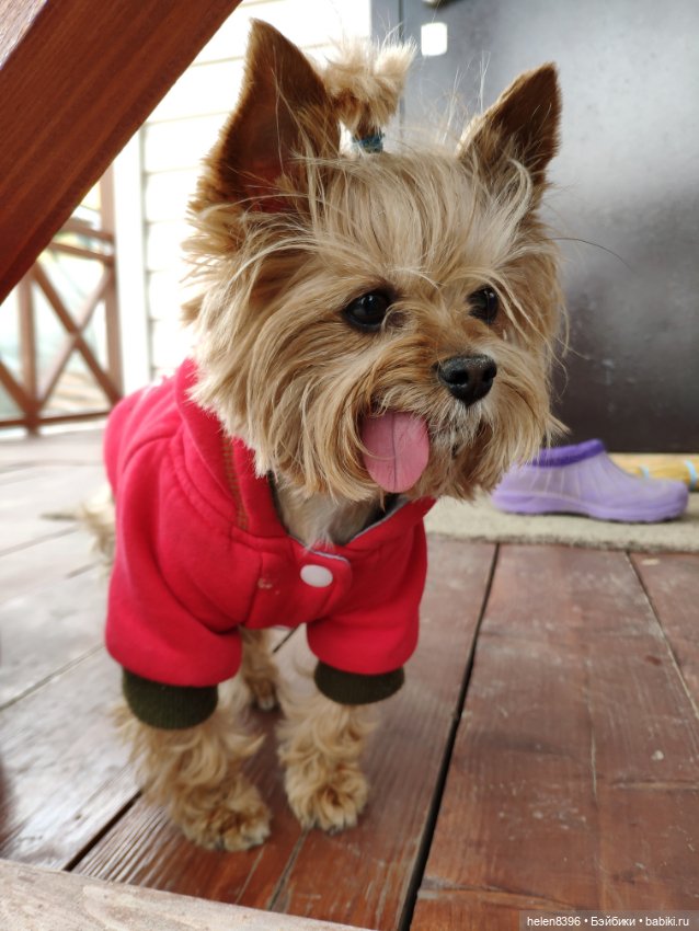 И пришла любовь — Болталка и разговоры обо всем: жизнь (фото 8)