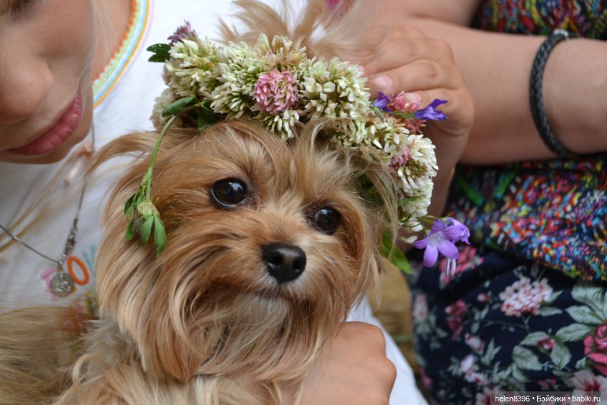 И пришла любовь — Болталка и разговоры обо всем: жизнь