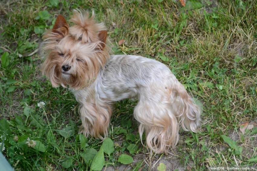 И пришла любовь — Болталка и разговоры обо всем: жизнь