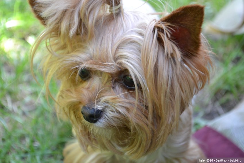 И пришла любовь — Болталка и разговоры обо всем: жизнь