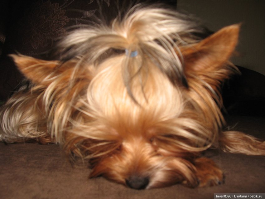 И пришла любовь — Болталка и разговоры обо всем: жизнь