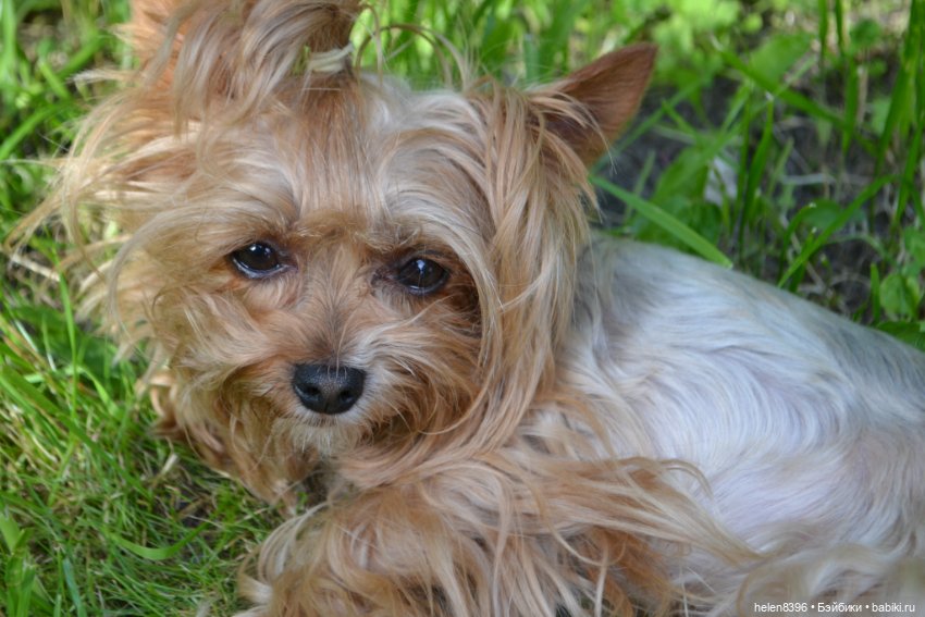 И пришла любовь — Болталка и разговоры обо всем: жизнь