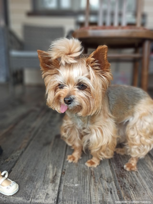 И пришла любовь — Болталка и разговоры обо всем: жизнь (фото 5)