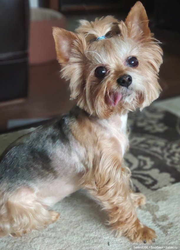 И пришла любовь — Болталка и разговоры обо всем: жизнь (фото 10)