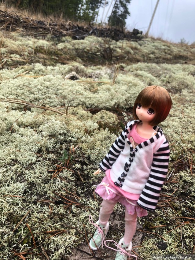 Azone Майа в лесу после дождя