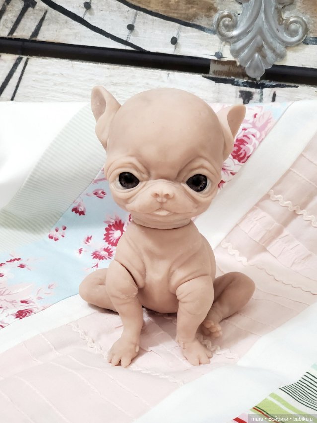 Малыш чихуа-хуа от скультора Cindy Musgrove (фото 4)